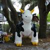 someone said they saw a big 10 foot cow. Well they were right