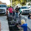 H.A.R.T. Cute pets up for adoption