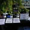 Some of the woulderful prizes to raffled off