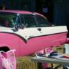 Pink Ford Fairlane and the Pet Vet working area