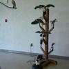 MOJO Outdoor display